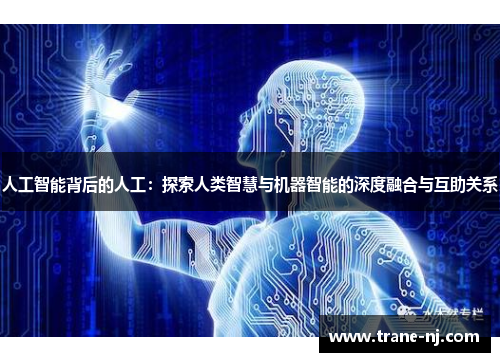 人工智能背后的人工：探索人类智慧与机器智能的深度融合与互助关系