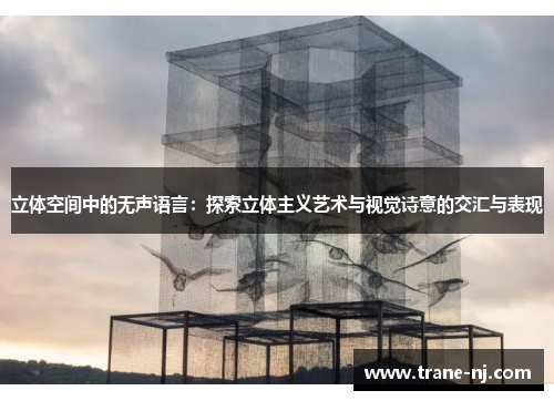 立体空间中的无声语言：探索立体主义艺术与视觉诗意的交汇与表现
