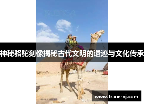 神秘骆驼刻像揭秘古代文明的遗迹与文化传承